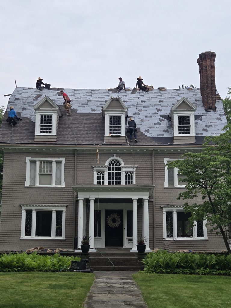 Vinyl Siding