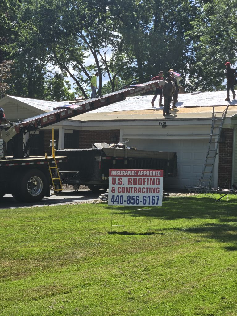 Metal Roofs